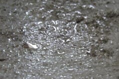 Condens aan plafond Parkeergarage Zevenaar | System-Care B.V.